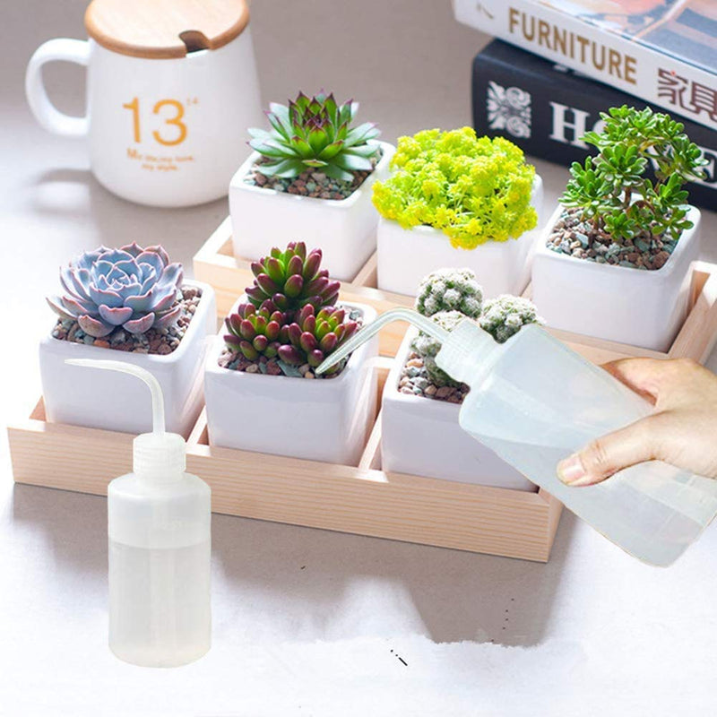 [Australia - AusPower] - Wash Bottles - 2pcs 250ml Safety Wash Bottle Watering Tools, Economy Plastic Squeeze Bottle for Medical Label Tattoo Supplies Green Soap Cleaning Washing Bottle 2x250ml 