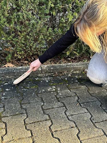 ROTHENBERGER Industrial Scratching Brush Weed Wire Brush Grill Brush Metal Brush Fillet Brush Hand Wire Brush 3 Rows 28 cm Long with Wooden Handle