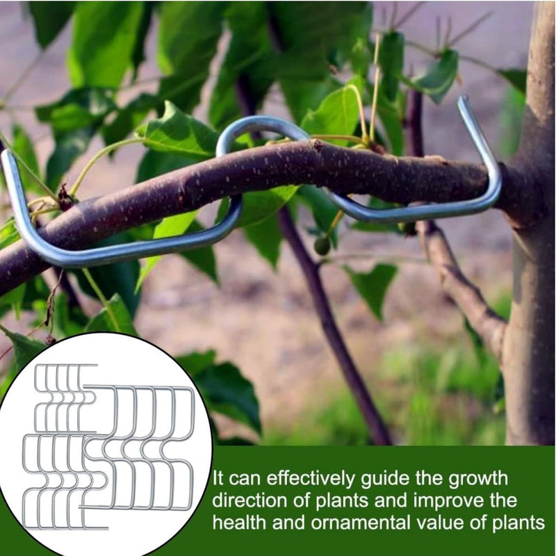 Pack of 24 Branch Supports for Fruit Trees, 13/10/8 cm Branch Spreader M for Fruit Trees, Metal, for Fruit Trees, Bonsai, Slanted Trees, Trees, Tomato Hooks, Robust Tomato Hooks, Branch