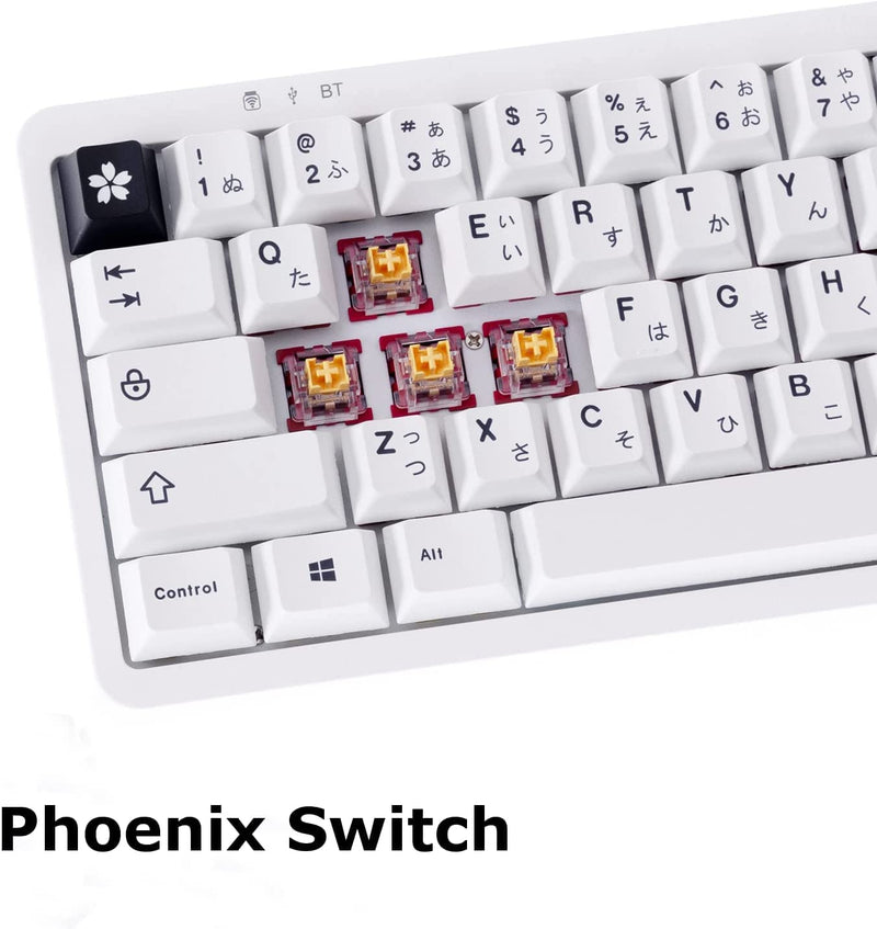 [Australia - AusPower] - GK GAMAKAY Silent Linear Mechanical Keyboard Switch, 70Pcs/Pack GamaKay Phoenix Switch 3 Pin Pre-lubed Switches for LK67 TK75 CK68 DIY Mechanical Gaming Keyboard (Phoenix Switch-70Pcs) Phoenix Switch-70Pcs 