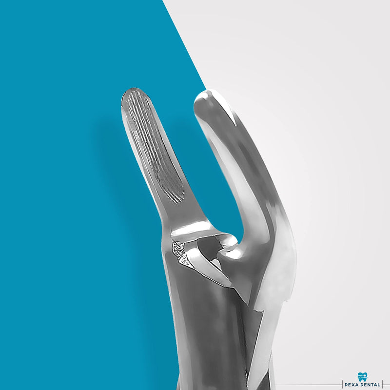 [Australia - AusPower] - Heavy Duty Dental Extracting Forceps # 150# 151# 23, Apical Forceps, Cowhorn Forceps, Lower Molars, Atraumair - 3 Pcs #150+151+23 