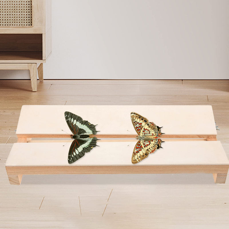 [Australia - AusPower] - Butterfly Mounting Spreading Board Display Board Pinning Board Specimen Spreading Board for Science Education 