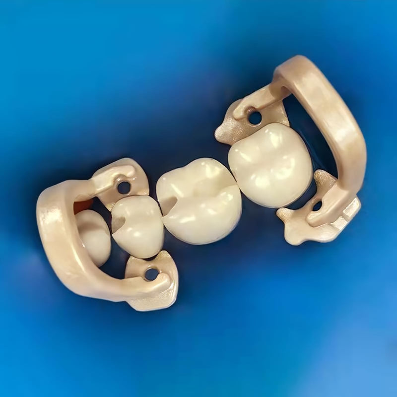 [Australia - AusPower] - Dental Rubber Dam Clamps Resin Rubber Barrier Clip Dental Endodental Rubber Dam Holder Autoclavable Dental Dentist Tools 