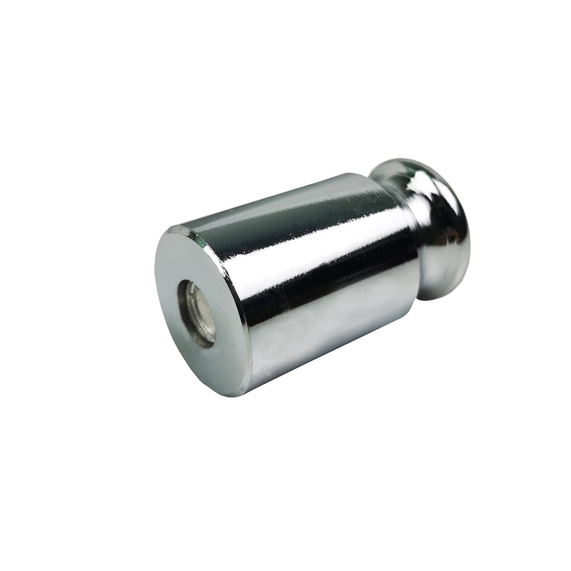 [Australia - AusPower] - HFS(R) Calibration Weight 100 Gram M2 Class Chrome Scale Balance Calibration Weight for Digital Scale, Pocket Scale 