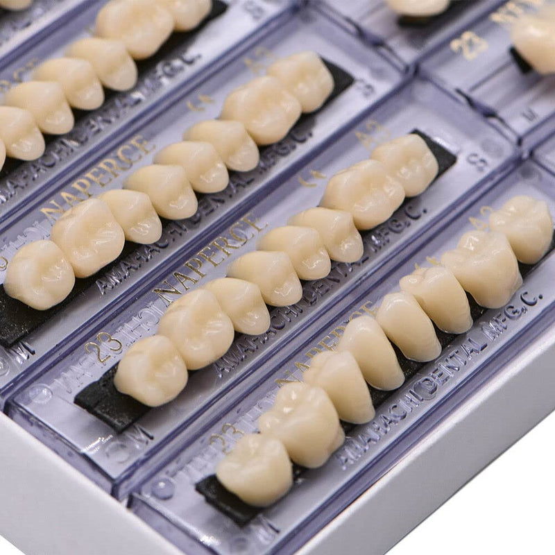 [Australia - AusPower] - 168Teeth Dental Synthetic Resin Tooth Denture Dentistry for Halloween Horror Teeth,Dental Education,Dental Teeth Teaching Model (23A3(6SET)) 23a3(6set) 