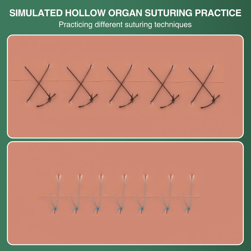 [Australia - AusPower] - Hollow Organ Suture Simulation Model, Suture Practice Kit for Medical Students, Surgical Kit for Medical Training, Nursing Doctor Practice Suture Pad(Replaceable Silicone Pad) 