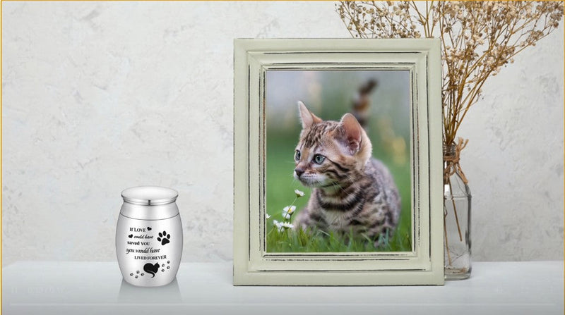 Small Cat Urn for Ashes 1.57 Inches Tiny Cremation Urn Mini Pet Paw Keepsake Stainless Steel Mini Urn for Cat Ashes Holder S Silver