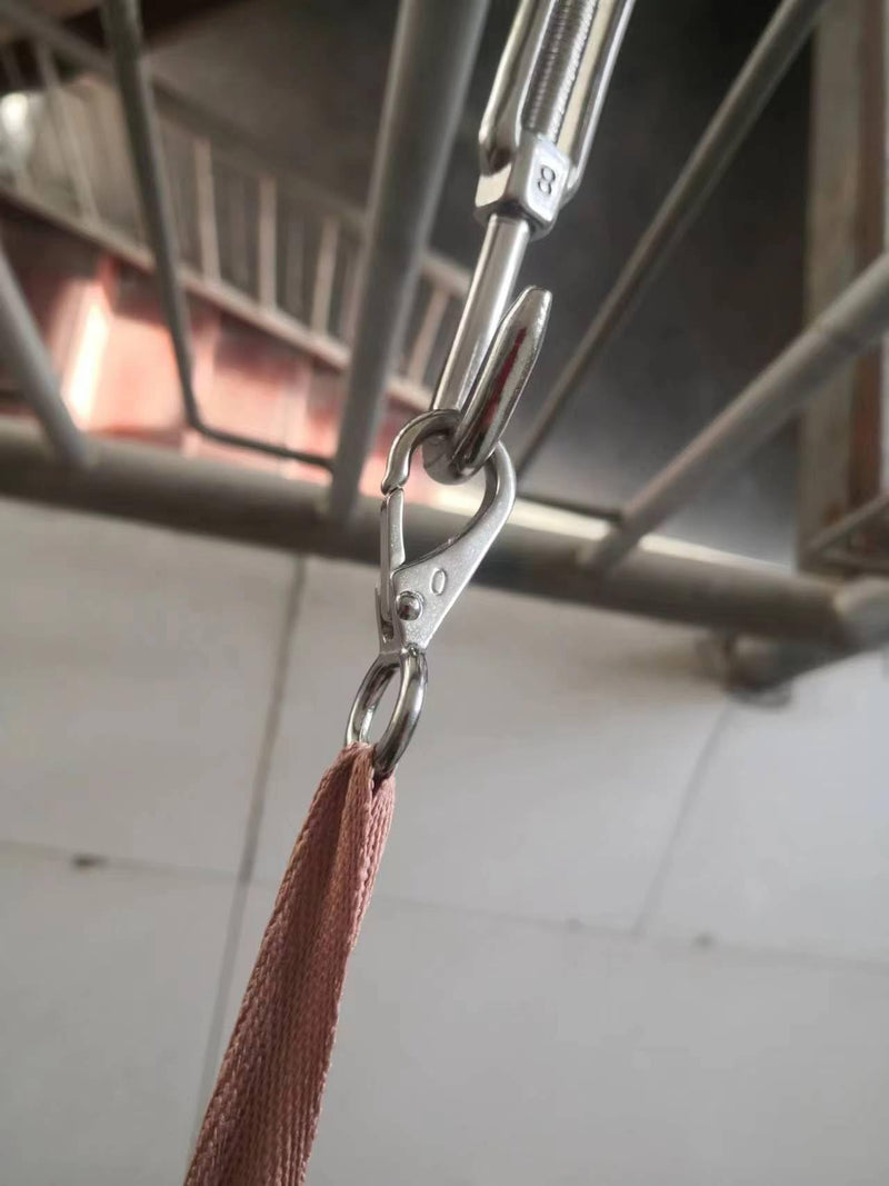 [Australia - AusPower] - Stainless Steel 316 Fixed Snap Hook 0# Spring Loaded Fixed Eye Hook Marine Rigging,5 Pieces 
