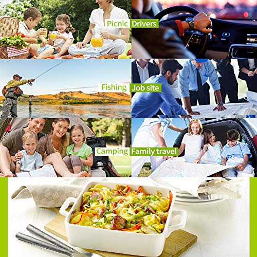 Portable Oven, 12V Car Food Warmer Portable Personal Mini Oven Electric Heated Lunch Box for Meals Reheating & Raw Food Cooking for Road Trip/Camping/Picnic/Family Gathering(Black) Black