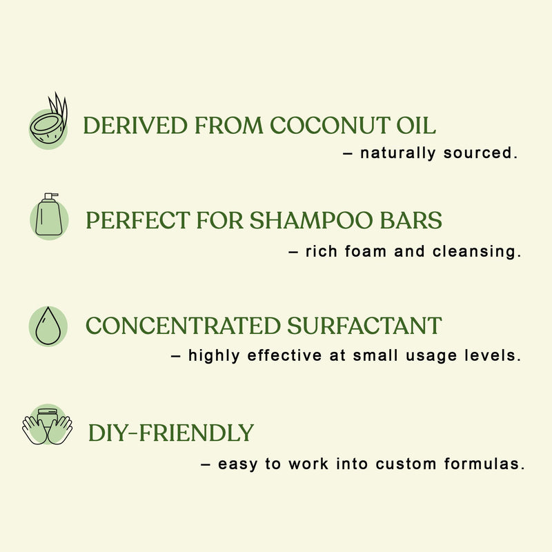 Soapeauty Coconut Oil SCS Noodles Surfactant for Skin Care Products - Sodium Coco Sulfate Noodles for Shampoo Conditioner Set, Soap Making Supplies, Body Lotion - 16 OZ (Pack of 2) 16 Ounce (Pack of 2)