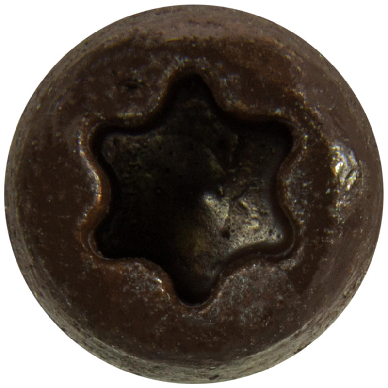 Jake Sales #10 x 1-3/4" Mocha Composite Decking Exterior Coated Wood Screw Torx/Star Drive Head - AQC Lumber Compatible (1 Pound ~130 Screws) MOCHA 1 POUND -130 SCREWS