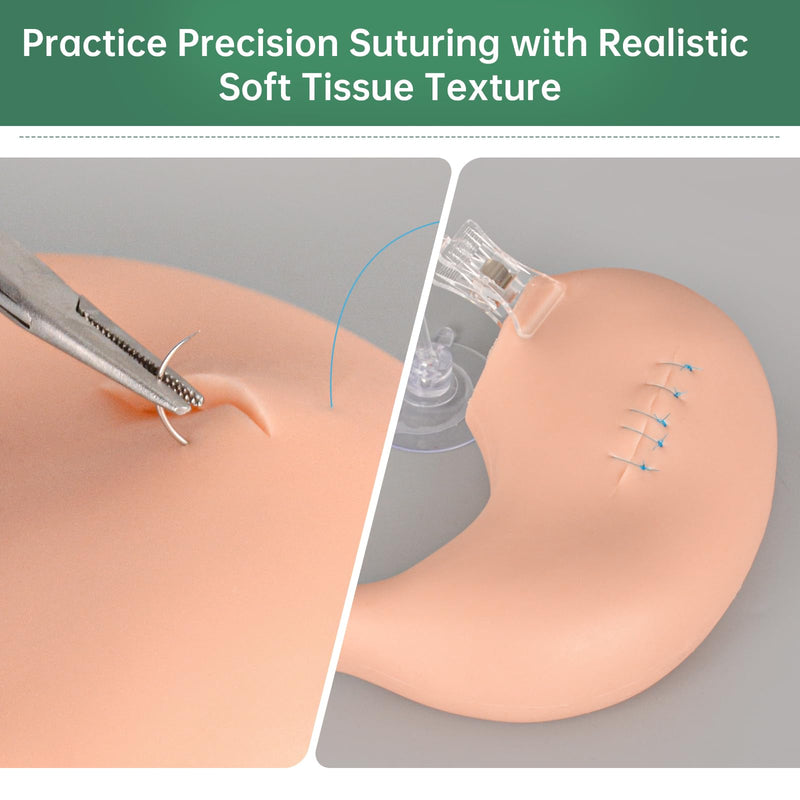 [Australia - AusPower] - Hollow Stomach Suturing Model - Hollow Organ Suture Practice Kit, Medical Nursing Student Supplies, Suture kit Perfect for Medical Students & Vet Training 