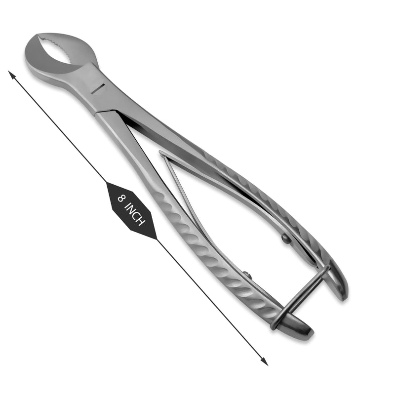 [Australia - AusPower] - Stainless Steel Dental Pliers Plaster Nippers Cutter Dentist Lab Equipment, Cow Horn Jaws, Serrated Blade, Spring Action 8" 
