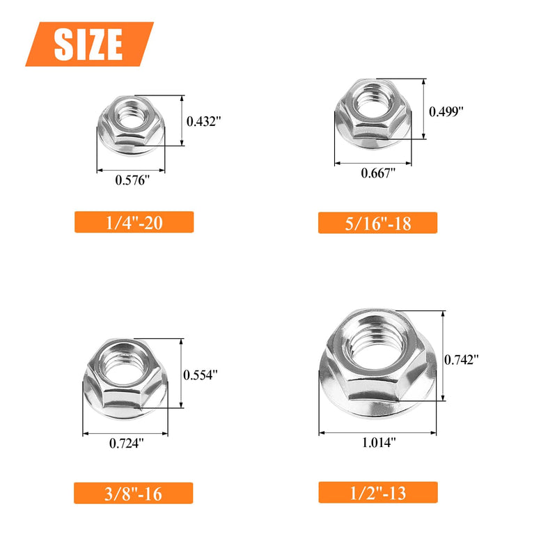 [Australia - AusPower] - 38 Pieces 4 Sizes Flange Nuts, Serrated Flange Hex Lock Nuts Assortment Kit, 304 Stainless Steel (1/4"-20 5/16"-18 3/8"-16 1/2"-13) 38 Pieces 4 Sizes 