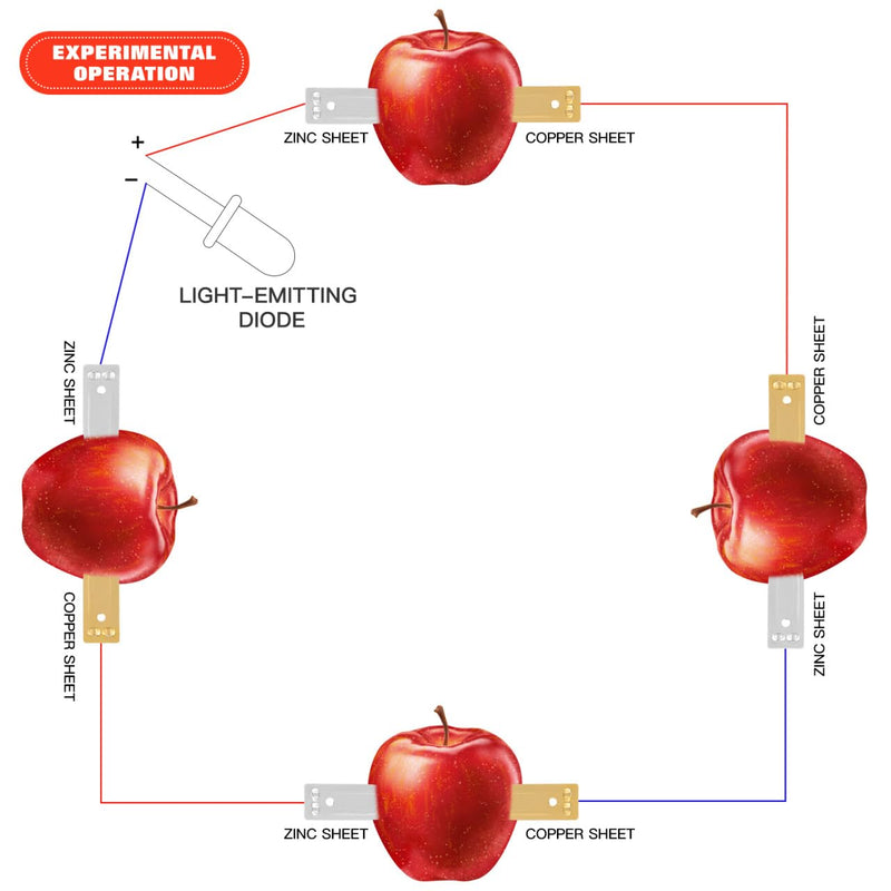DOITOOL Copper and Zinc Electrode Strips 30Pcs for Fruit Battery Science Experiments Educational DIY Kit 1.57X0.51 Inches Each
