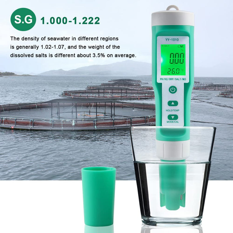 [Australia - AusPower] - Hydrogen Water Tester 10 in 1 Resistivity/Fertility/H2/pH/TDS/EC/ORP/S.G/Salt/Temp Meter with ATC pH Meter,0.01 High Accuracy pH Tester Digital,TDS Meter PPM Meter for Drinking,Hydroponics,Pool. 10-1 