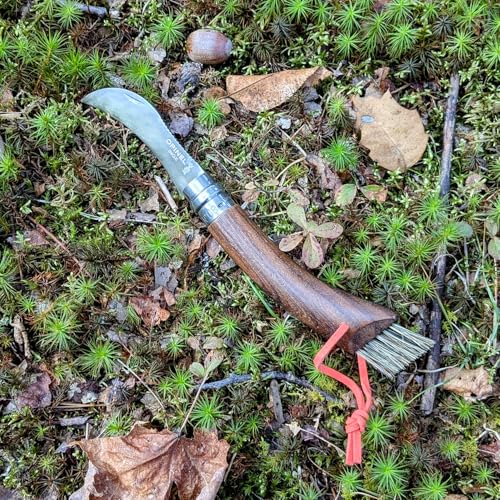 OPINEL No. 08 Mushroom Knife, Curved Stainless Steel Blade (Walnut) Walnut