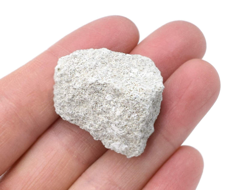 [Australia - AusPower] - EISCO 12PK Oolitic Limestone, Sedimentary Rock Specimens - Approx. 1" - Geologist Selected & Hand Processed - Great for Science Classrooms - Class Pack 12 