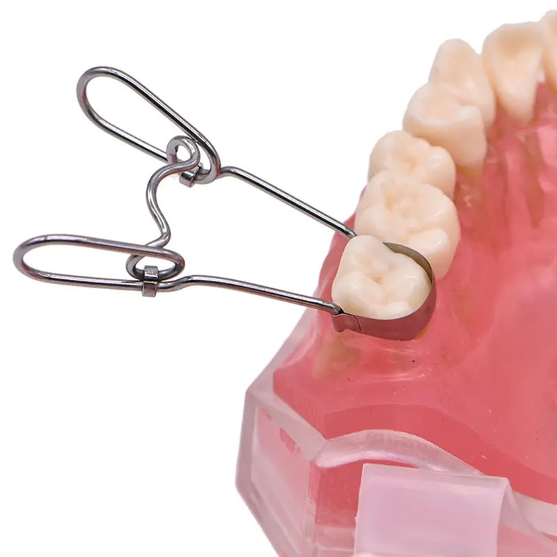 [Australia - AusPower] - 36 Pieces Dental Sectional Matrix Band System with Spring Clip for Dental Restorations, 0.035mm Thickness Stainless Steel Bands, 9 Sizes for Comprehensive Molar and Premolar Procedures Oral Care Kits 