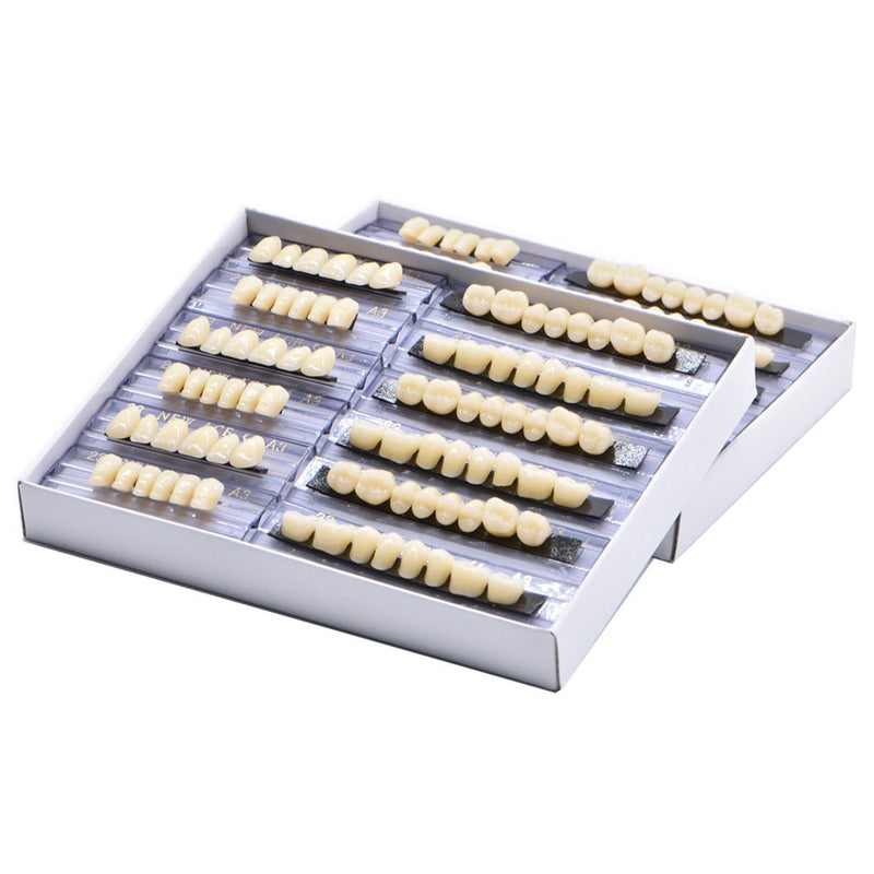 [Australia - AusPower] - 168Teeth Dental Synthetic Resin Tooth Denture Dentistry for Halloween Horror Teeth,Dental Education,Dental Teeth Teaching Model (23A3(6SET)) 23a3(6set) 