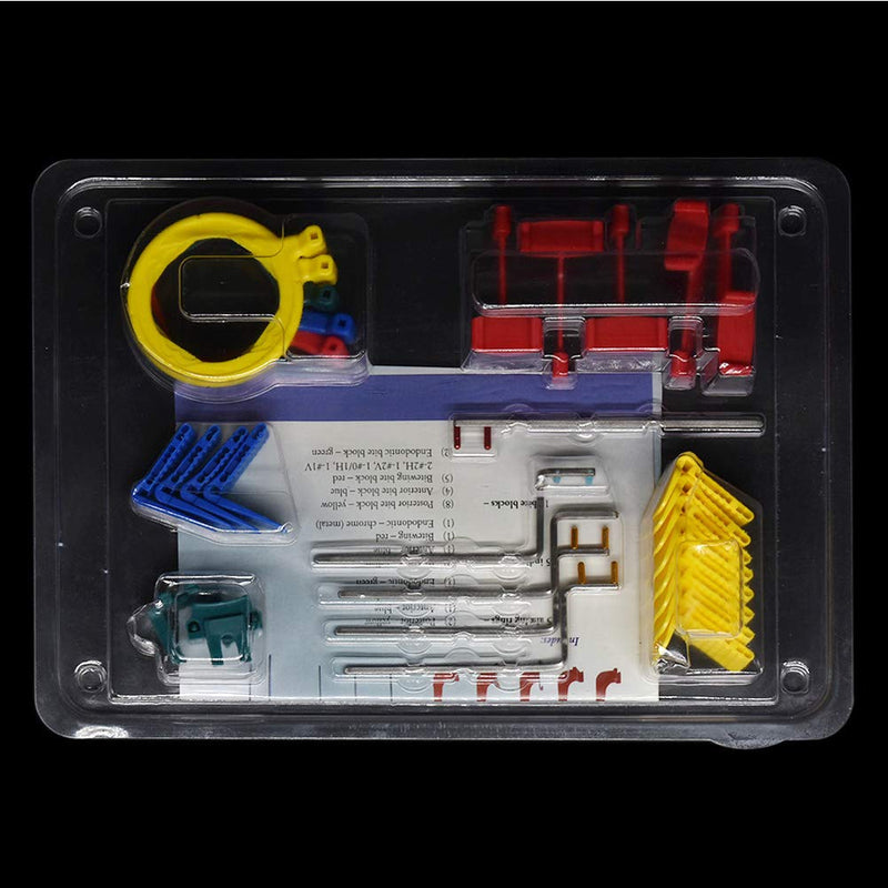 [Australia - AusPower] - Angzhili Dental Paralleling Kit with Bite-Wing X-Ray Film Positioning System Complete Kit FPS 3000(for Regular Films) 