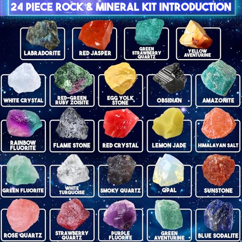 24 Pcs Raw Crystals and Healing Stones with Plastic Storage Box Purple