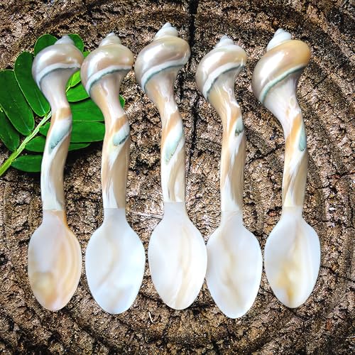 Set of 02 Spoons Shell Spoon Mother of Pearl Caviar Spoons W Round Handle for Caviar, Egg, Ice Cream, Coffee, Restaurant Serving (2 Pieces,7 Inches)