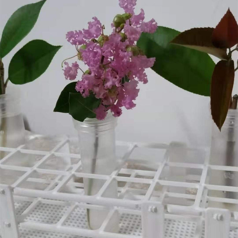 [Australia - AusPower] - 3 Packs Plastic Test Tube Rack, 60 Holes Lab Test Tube Rack Holder for 16mm Test Tubes, White, Detachable (60 Holes) 