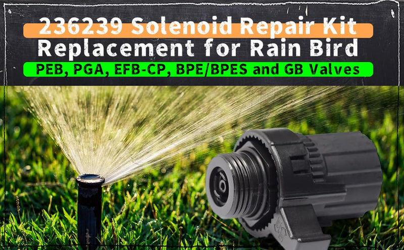[Australia - AusPower] - 236239 Solenoid Repair Kit Replacement for rain Bird SOLASSG4 Sprinkler System PEB PGA EFB-CP BPE BPES and GB Valves 