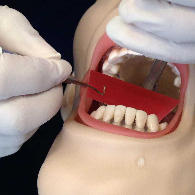 [Australia - AusPower] - 600 Sheets Dental Articulating Paper, Plastic Dispenser Red and Blue 100 Micron Bite Articulating Paper & Film Doubled Side 