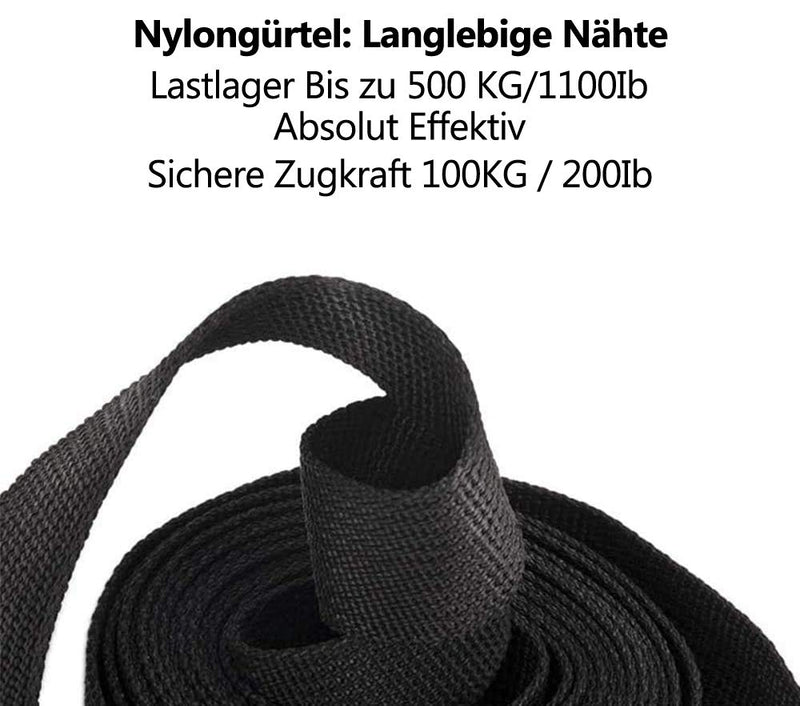 [Australia - AusPower] - 6 Pack Lashing Straps 6.5ft x 1" Tie Down Straps Up to 1500lbs,Heavy Dust Lashing Secure Strap Adjustable Cam Buckle Straps for Motorcycle, Cargo, Trucks,Trailer,Luggage Black 