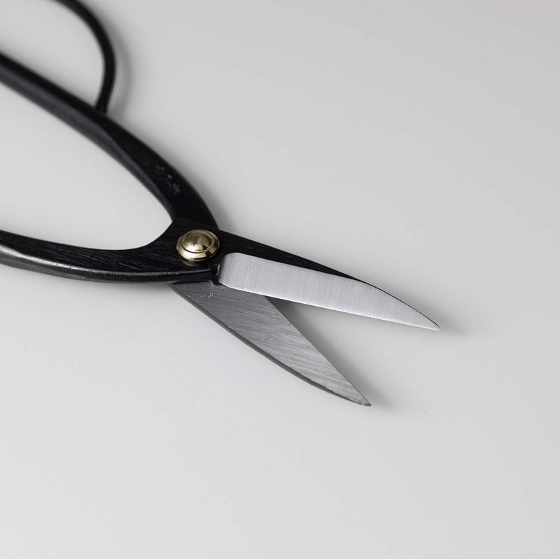 Wazakura Ashinaga Bonsai Pruning Scissors 8inch (200mm) MADE IN JAPAN, Long Handle Bonsai Cutter in Carbon Steel, Rose Pruning Shears, Flower Scissors, Japanese Gardening Tools Ashinaga Long Handle Black