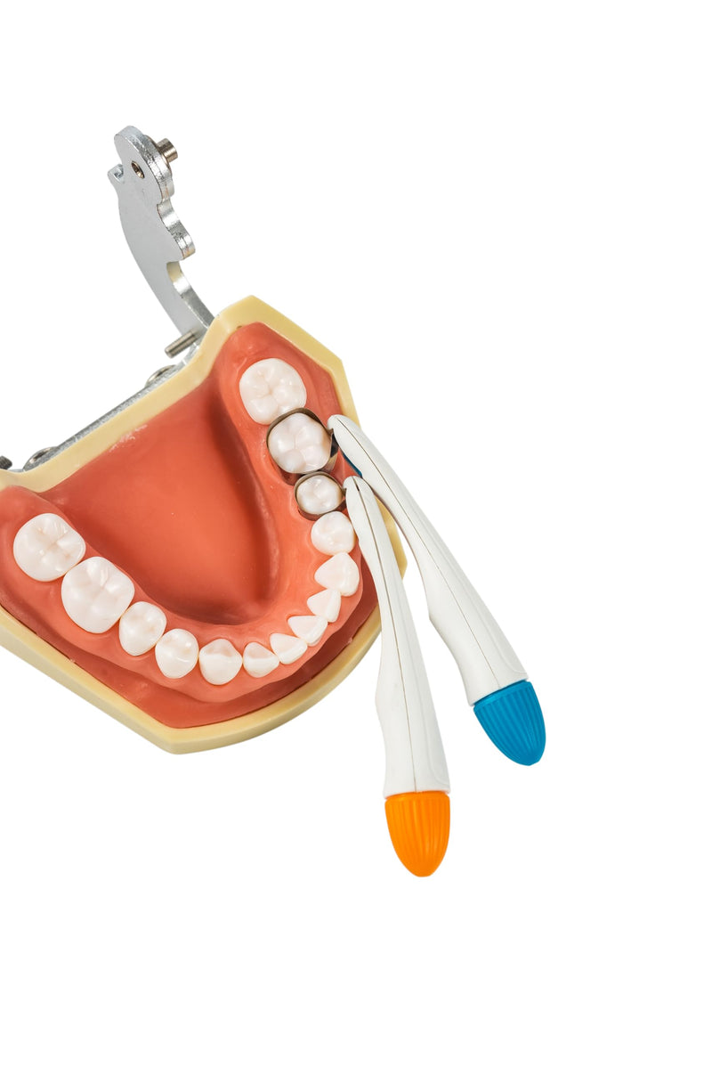 [Australia - AusPower] - 50pcs Dental Matrix Bands,Dental Sectional Matrix Refill Wedge for Teeth Restoration,Adjustable, 6mm Standard for Molars Blue 