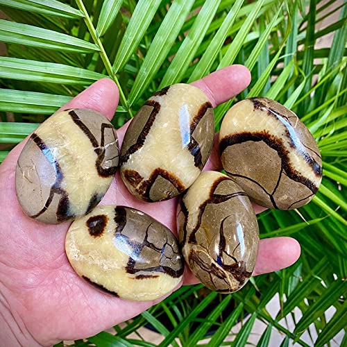 Acxico 1Pcs Septarian Crystal Dragon Stone Healing Crystals Yoga Reiki Meditation 3"