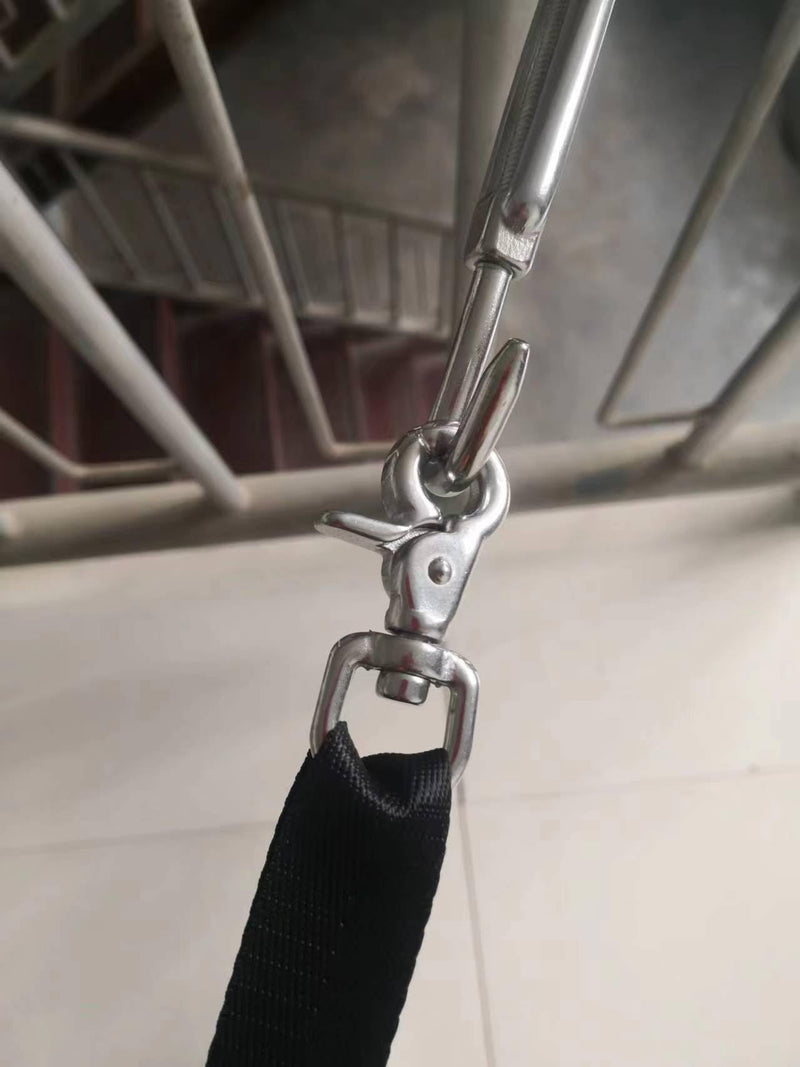 [Australia - AusPower] - 316 Stainless Steel Swivel Eye Trigger Snap Hook Great for Pet Leashes Bag Straps,2 Pack (2-1/2") 2-1/2" 