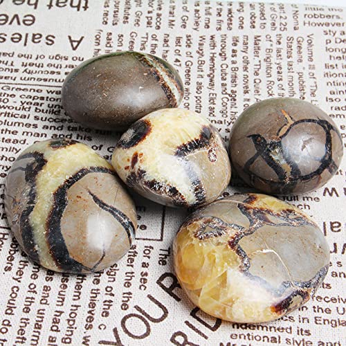 Acxico 1Pcs Septarian Crystal Dragon Stone Healing Crystals Yoga Reiki Meditation 3"