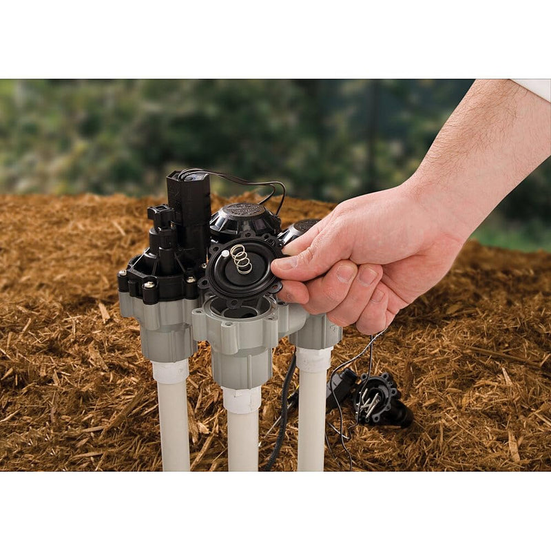 [Australia - AusPower] - Rain Bird DASASVF075 Professional Grade Anti-Siphon Valve with Flow Control, 3/4" Threaded Female x Female 0.75 Inch 