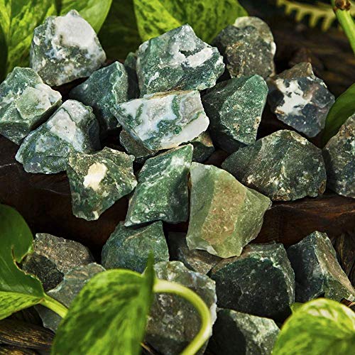 Zenkeeper 1Lb Raw Moss Agate Crystal Stone Rough Gemstones Fountain Rocks for Tumbling, Cabbing, Polishing, Wire Wrapping, Wicca & Reiki Crystal Healing