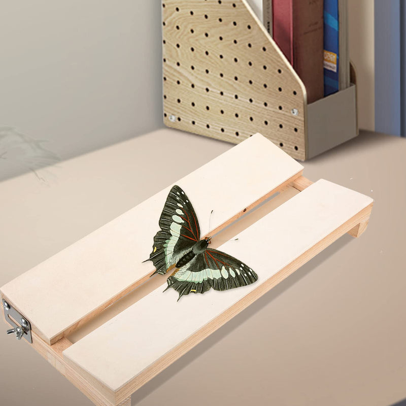 [Australia - AusPower] - Butterfly Mounting Spreading Board Display Board Pinning Board Specimen Spreading Board for Science Education 