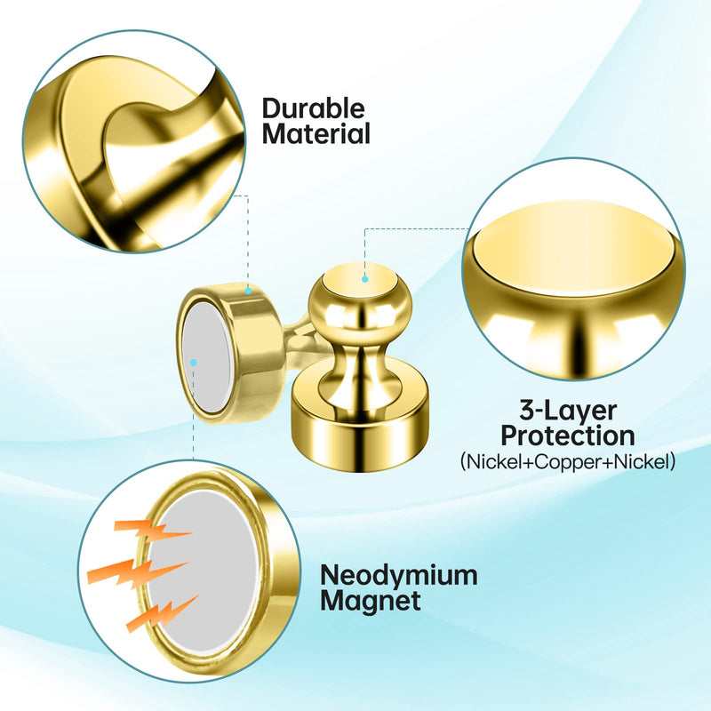 [Australia - AusPower] - Pack of 8 Gold Magnets Cute Magnets for Fridge Refrigerator Magnets Adult Push Pin Magnets for Whiteboard Small Magnets for Hobbies Crafts Science Office Pack of 8 
