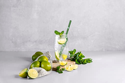 Zwilling J.A. Henckels 39500-120 Double Wall Glasses, 16.5 fl oz (470 ml), Set of 2, Tumbler, Highball, Heat Resistant, Double Wall Construction, Cup Transparent 470 ml