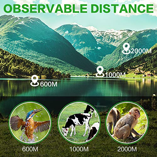 40X60 Monocular Telescope, High Power Monocular for Adults with Phone Adapter& Tripod& Hand Strap, Low Night Vision Monocular, Equipped with BAK4 Prism for Bird Watching and Traveling Concert Green