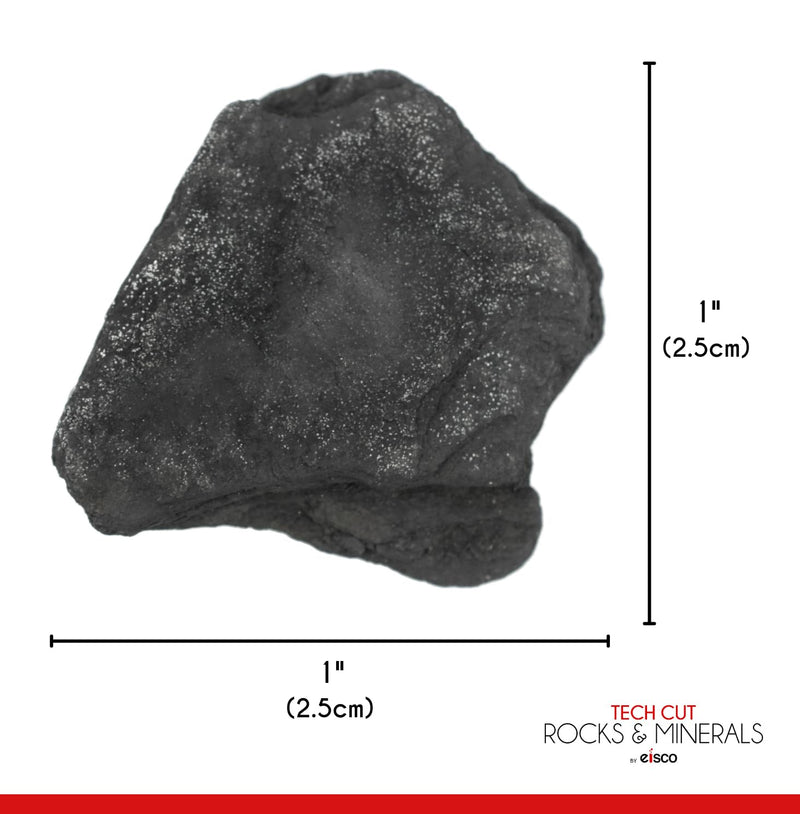 [Australia - AusPower] - EISCO 6PK Raw Anthracite Coal, Metamorphic Rock Specimens - Approx. 1" - Geologist Selected & Hand Processed - Great for Science Classrooms - Class Pack 6 