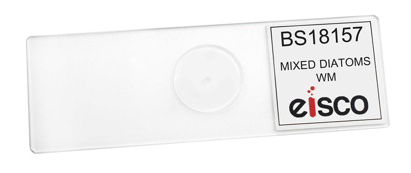 [Australia - AusPower] - EISCO 10PK Mixed Diatoms, Wholemount - Prepared Microscope Slides - Classroom Pack, 10 Slides in Storage Case - Biology & Microscopy Pack of 10 