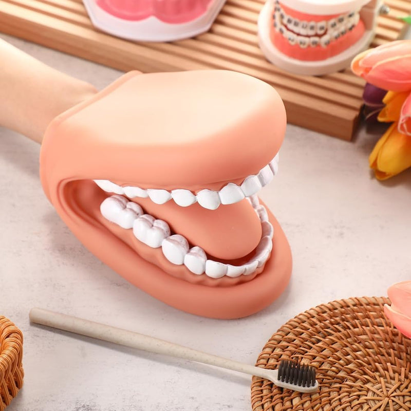 1 Piece Mouth Puppet with Tongue Teeth Mouth Hand Puppet Tooth Mouth Model with Toothbrush for Girls Learning Tool
