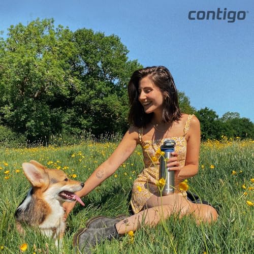 Contigo Ashland Chill Autospout Water Bottle with Flip Straw, Stainless Steel Thermal Drinking Bottle,Leakproof,Grey, BLue, 590 ml Grey, B Lue