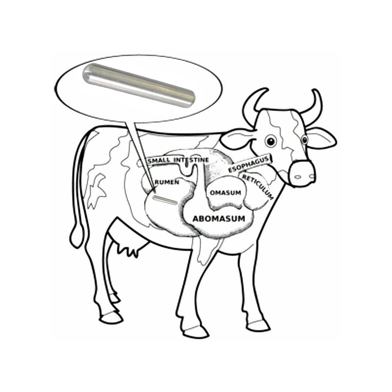 [Australia - AusPower] - AlNiCo5 Magnets, Cow Magnet 1/2" Diameter x 3.00" Length - 4Pack,Silver Heavy Duty Cylinder Magnet,Cow Magnetic Metal Picker,Magnetic Stud Finder,Corrosion-Resistant and Water-Proof. 