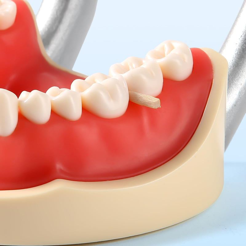 [Australia - AusPower] - JMU Dental Wooden Wedges 100Pcs Disposable Colorful Wooden Wedges (White (1.3x1.5x14mm)) White (1.3x1.5x14mm) 