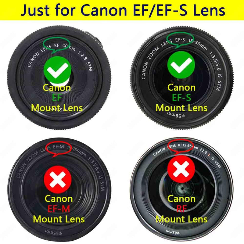 [Australia - AusPower] - Front Body Cap and Rear Lens Cap Cover for Canon EOS EF/EF-S Lens for Rebel T7 T6 T5 T8i T7i T6i SL3 SL2 T6S,5D Mark IV/III/II, 6D Mark II/I, EOS 90D/80D 77D 70D, 7D Mark II, 1D X Mark II 