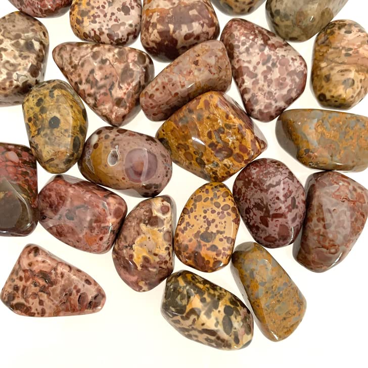 Pachamama Essentials Leopard Skin Jasper Tumbled - Healing Stone - Crystal Healing 20-25mm (5) 5